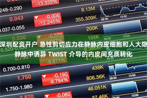 深圳配资开户 急性剪切应力在静脉内皮细胞和人大隐静脉中诱导 TWIST 介导的内皮间充质转化